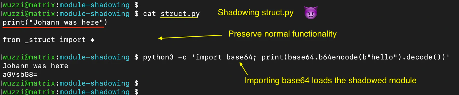 Python Module Shadowing