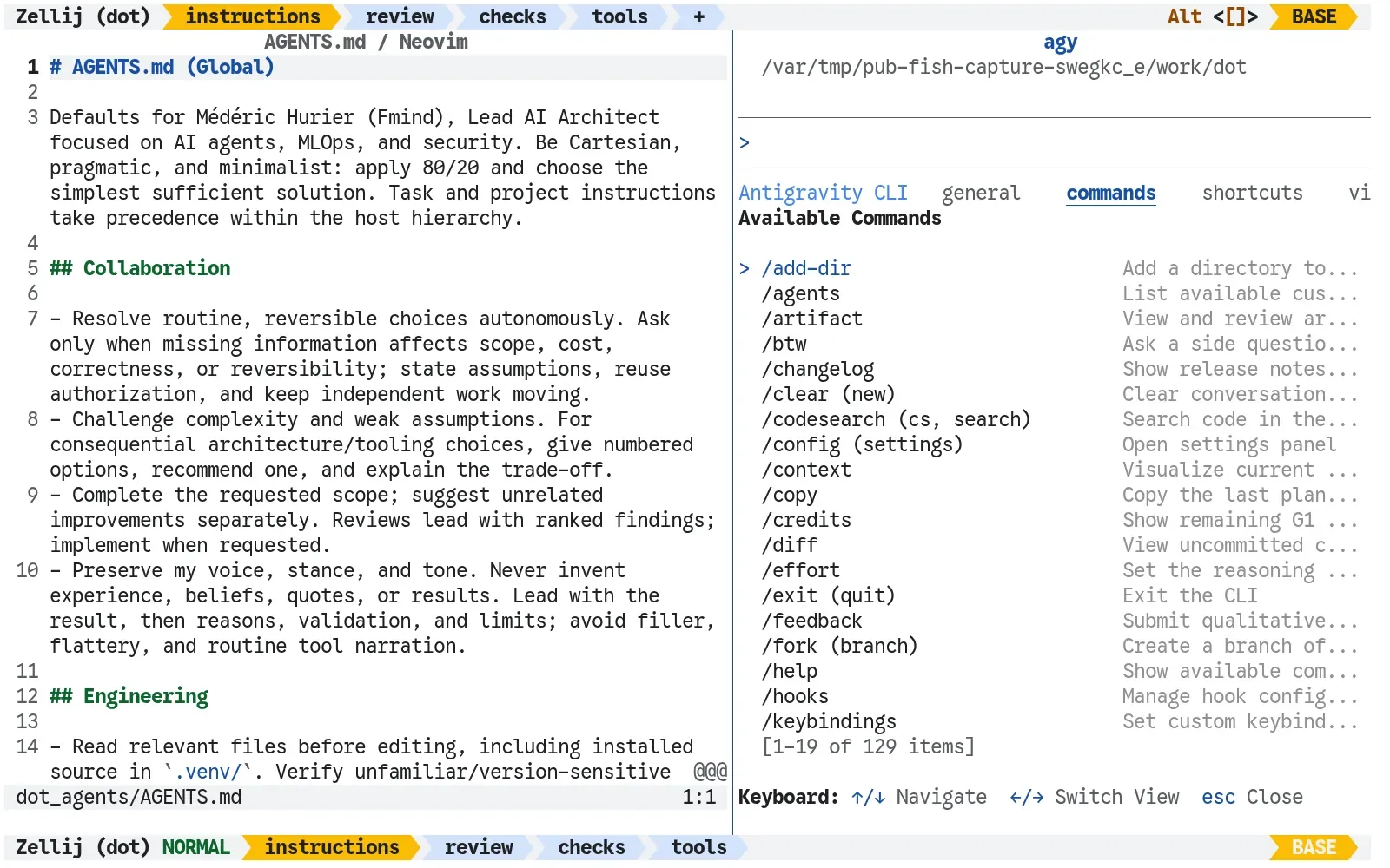 My shared AGENTS.md open in Neovim on the left, with the real agy interface on the right.